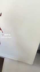 1762267654845246.mp4