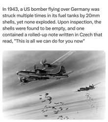 1755465382283434.jpg