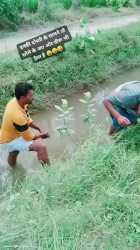 1762295796884150.webm