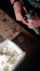 1751240321199624.webm