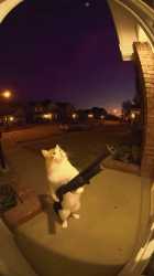 1761398538409578.mp4