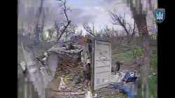 1762104508332302.webm