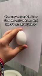 1750992971008497.webm