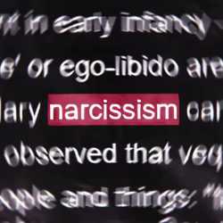 1762244318101922.mp4