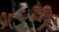1747017936722198.webm