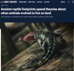 1747270788552597.png