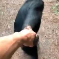 1751252370471729.webm