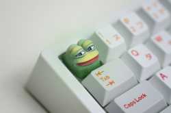 1755392894462369.jpg