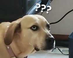 1751296020217133.jpg