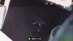 1751139797589197.webm