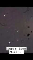 1751236470215391.webm