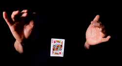 1751246061662390.jpg