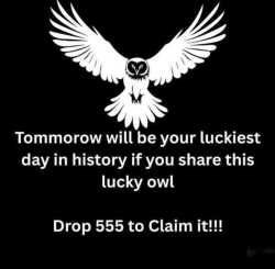 1755331953362889.jpg