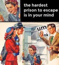 1755345557392055.jpg