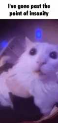 1755486709608907.gif