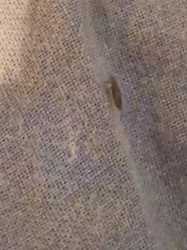 1762256840226806.webm